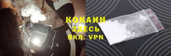 ГАЛЛЮЦИНОГЕННЫЕ ГРИБЫ Гусев