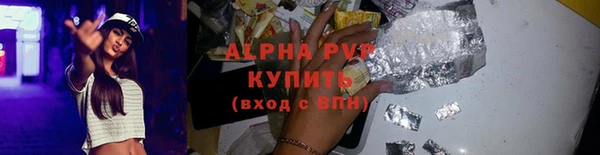 ГАЛЛЮЦИНОГЕННЫЕ ГРИБЫ Гусев
