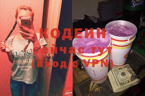 ГАЛЛЮЦИНОГЕННЫЕ ГРИБЫ Гусев
