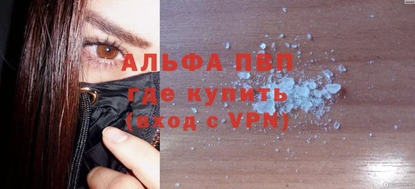 ГАЛЛЮЦИНОГЕННЫЕ ГРИБЫ Гусев