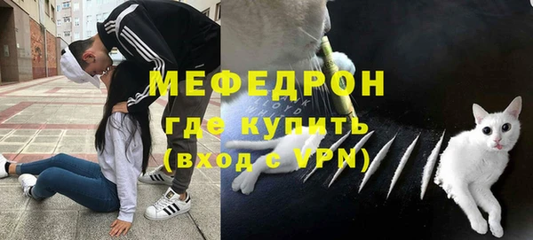 ГАЛЛЮЦИНОГЕННЫЕ ГРИБЫ Гусев